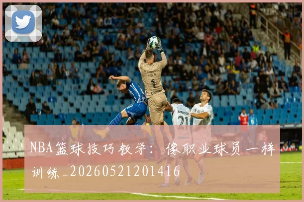 NBA篮球技巧教学：像职业球员一样训练_20260521201416