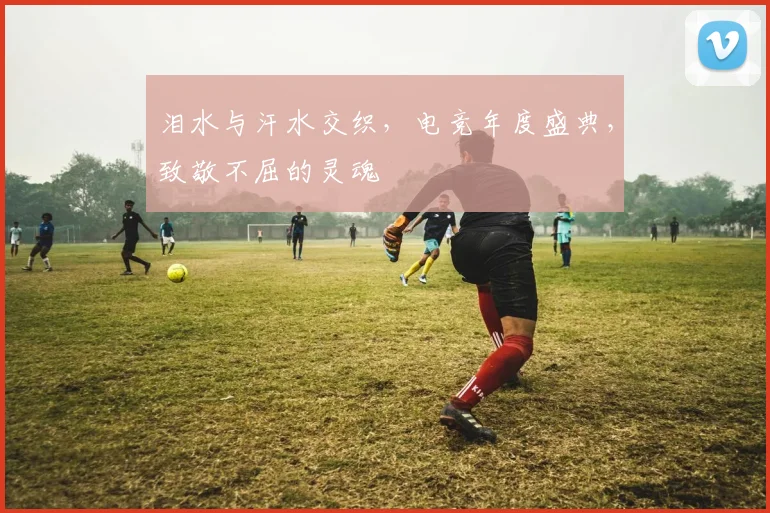 泪水与汗水交织，电竞年度盛典，致敬不屈的灵魂