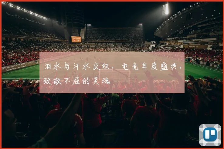 泪水与汗水交织,电竞年度盛典,致敬不屈的灵魂